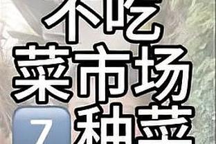 开云手机版app下载官网截图4